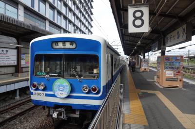 さわやかウォーキング 伊豆長岡 （下田街道 北条氏ゆかりの地）