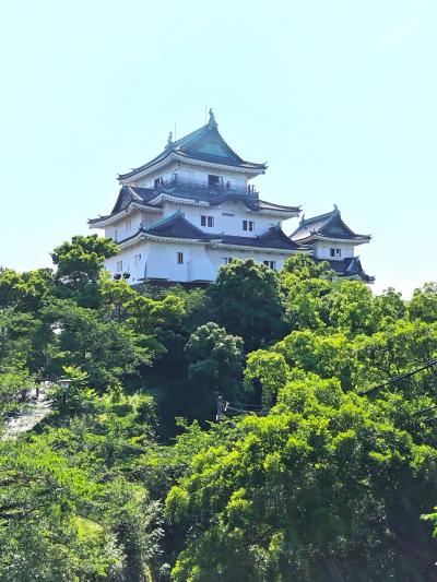 和歌山城公園☆高野山満願ドライブ2024年⑧-2