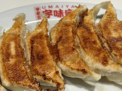 やまびこで行く栃木旅。那須岳に振られて宇都宮で餃子食べ比べ