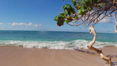 マイルでハワイ♪7泊9日 オアフ＆ハワイ島　7日目＆最終日 レンタカーでノースショアから帰国まで