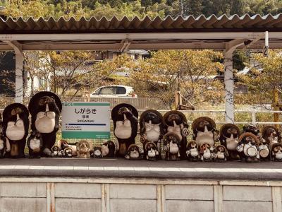 信楽散策♪信楽焼ワールドを巡る日帰り旅