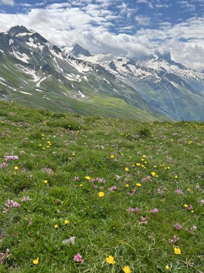 2024年7月シャモニー④バルム山周辺7/10(水)