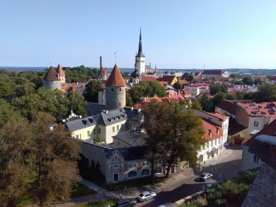 健康第一！2024年8月★バルト三国＋トルコふたり旅④タリンの丘で澄んだ空気と青い空を満喫
