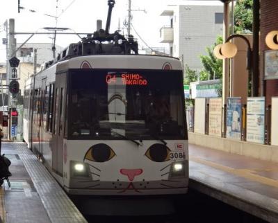 横浜へ学会旅行