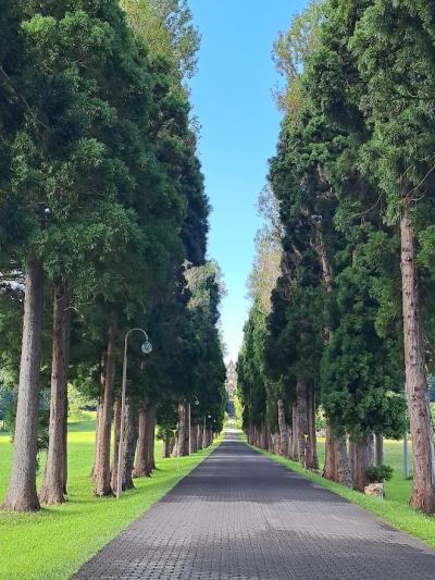 北海道９日間車で周遊の旅（1日目 函館編）－絶景と活イカを堪能ー