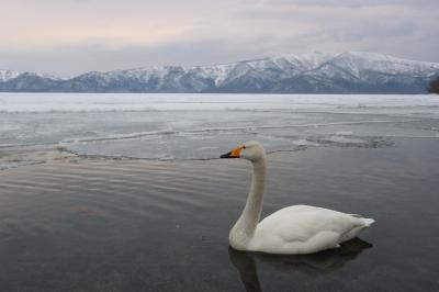 冬の道東ドライブ② 神秘と躍動!摩周湖・硫黄山・屈斜路湖