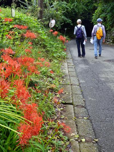 甲州街道を歩く(与瀬～上野原)　　　　　　　