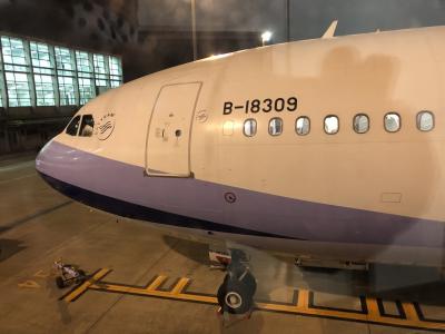 2022年冬、友人誘われバリ旅行、No1…チャイナエアラインで出発&バリ初日