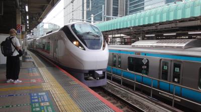 大人の休日倶楽部パスで城巡り…水戸城・新発田城・春日山城