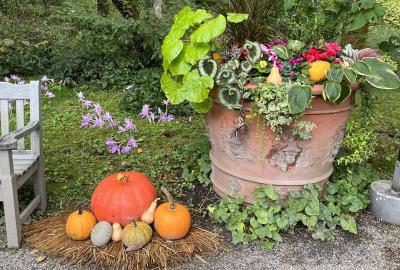 ⑦マダムの天空の楽園車山高原6日間の旅　2日目の4　蓼科高原バラクライングリッシュガーデン
