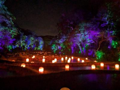 夜の森のミュージアム「チームラボ 幽谷隠田跡」