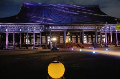 光の西本願寺2024！秋の夜間特別公開