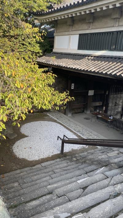 【和歌山県と大阪】3泊4日の旅　1日目・和歌山城と5分だけ動物園・老舗和歌山ラーメン店へ