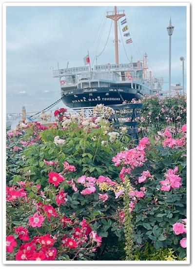 イングリッシュガーデンや山下公園でバラを堪能し、ハイアットリージェンシー横浜クラブフロアに宿泊