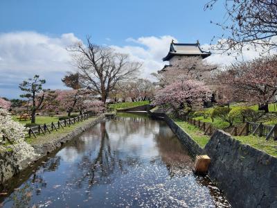 青森・北海道旅行記(1/2)。弘前城、縄文遺跡と松前城。