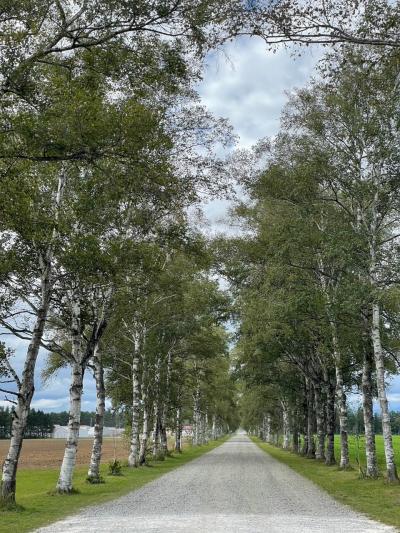 うまいもん食べにいこ 秋の北海道 1日目🍈メロンパン