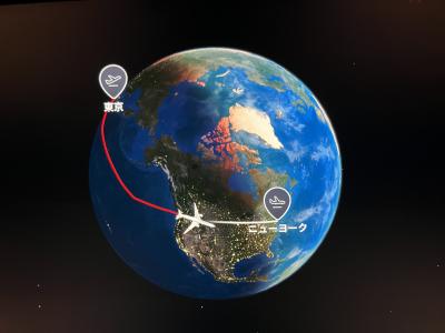 2024☆初めてのニューヨーク☆観光やお買い物?詰め込みすぎてちょっとハードな旅でした①羽田出発からニューヨーク1日目です
