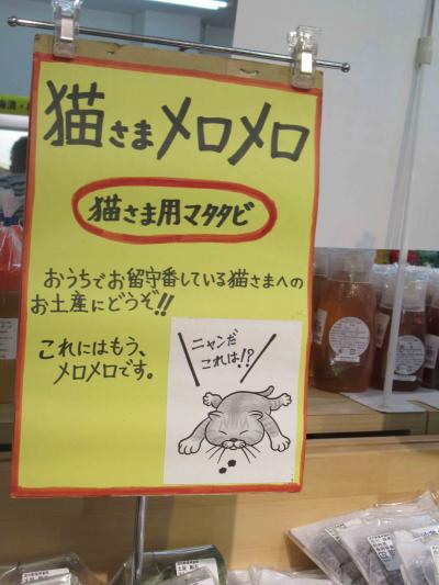 道の駅小坂田公園から小谷迄日帰りで駆け抜ける！