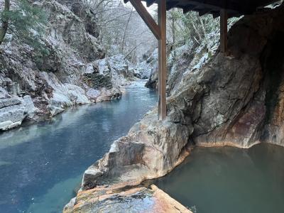 １泊２日で塩原温泉から那須温泉へハシゴ湯旅