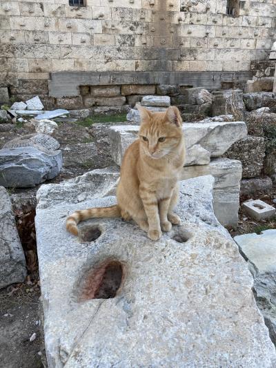 ギリシャ・アテネの日記 夫婦2人珍道中その7