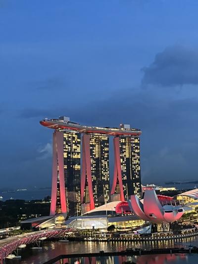 【2024年8月 シンガポール】7日目 ナショナルデー・シンガポールの天気について