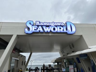 久しぶりの鴨川シーワールド