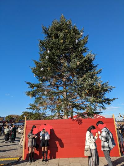 2023.12 神奈川旅行