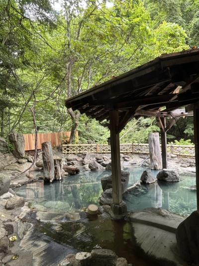 加仁湯温泉１泊２泊の夏旅