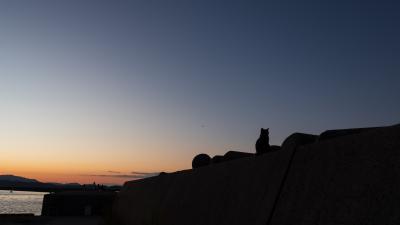 和歌山市、猫の駅長、そして加太の夕暮れ
