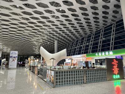 今回は深圳からシンガポール航空でジャカルタ