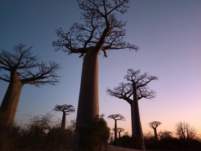 女2人、ガイド付きツアーでマダガスカル7日間の旅