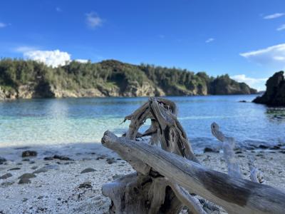 2023-09_9年ぶりの小笠原-父島-南島-母島-〈4日目〉