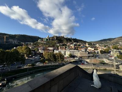 コーカサスDay6 シグナギからトビリシ