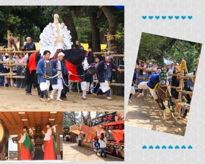 秋まつり♪　人馬一体駆け抜けろ♪　高浜おまんと祭り春日神社♪