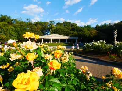 深大寺でそばを食べて、神代植物公園でバラ散歩を楽しんだ秋の休日　ー2024.10ー