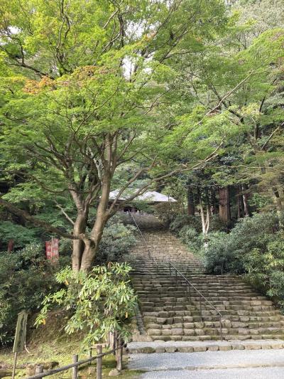 奈良大和４寺へとへと巡礼旅４日間