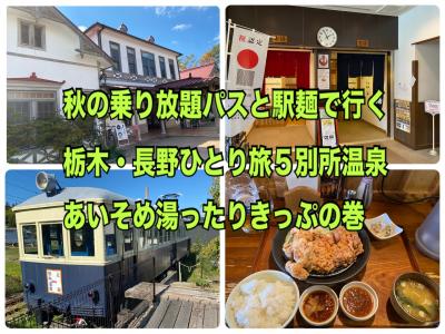 秋の乗り放題パスと駅麺で行く栃木・長野ひとり旅５　別所温泉あいそめ湯ったりきっぷの巻