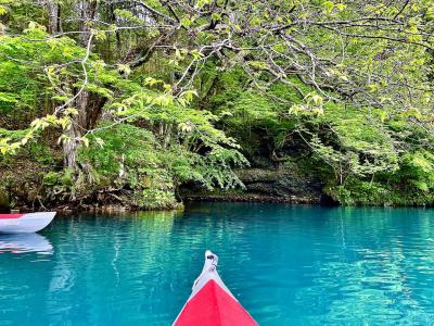 2024年GW3日目:四万湖ブルーをカヌーで堪能♪（1日目:赤城山トレッキング♪2日目:利根川ラフティング＋積善館宿泊）2泊3日♪（家族で）