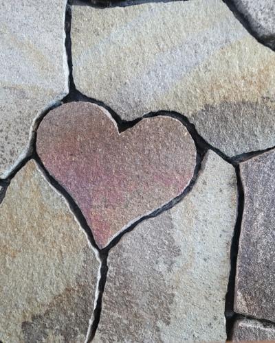 伊勢志摩鳥羽にワンちゃん連れ1泊2日の旅