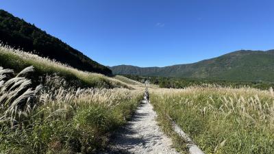 箱根仙石原すすき草原と九頭龍神社