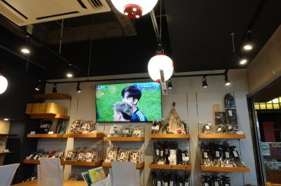 20241015-3 築地 そ言えば1階に気になる店が。大東の立ち呑みで、酒とくさやと日豪戦と。