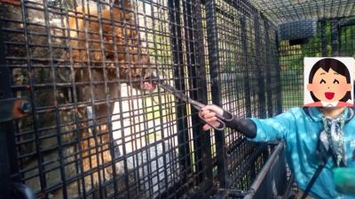 姫路セントラルパーク　サファリ・ザ・ライド（公共交通機関のみ）