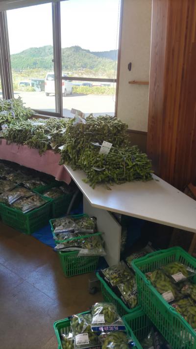 丹波篠山に黒枝豆を買いに行く！