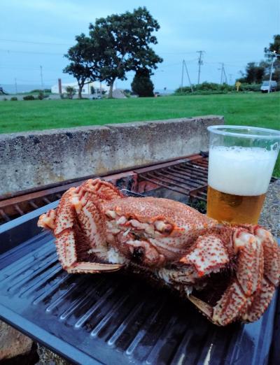 .*・*満点の星に魅せられた2024夏 の北海道旅17泊+青森2泊.*・*ダイジェスト版☆