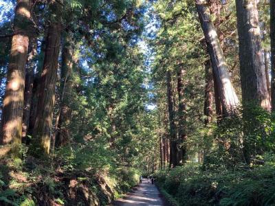 日光の鹿沼（その3）