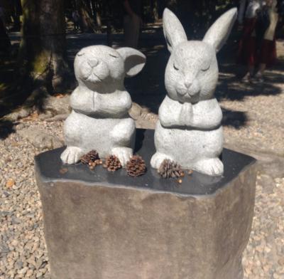 40代夫婦の出雲旅行