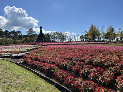 初めてのセグウェイ体験をひるがの高原で