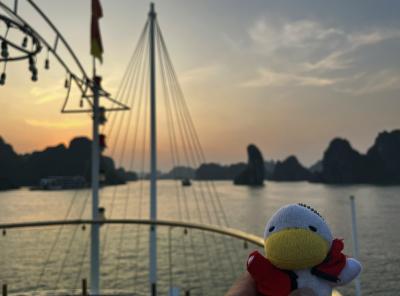 ハロン湾クルージングツアー