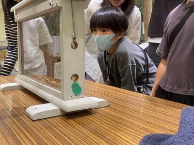 難波高島屋　ビースクール2024.10 