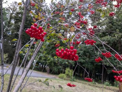 那須高原への旅③